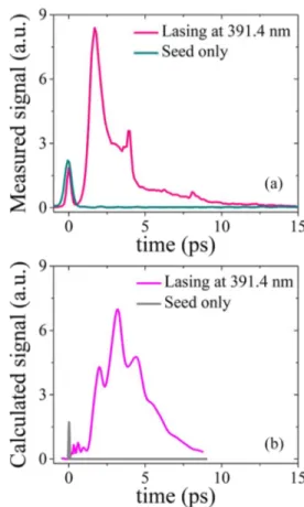 FIG. 5. Comparison between amplified seed signal forms obtained from experi- experi-ment (a) and simulation (b) for nitrogen gas pressure p = 30 mbar and a plasma length of 8 mm