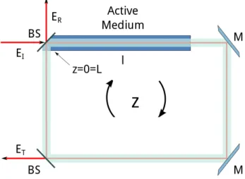 Fig. 2.2 – Schematization of the semiconductor ring laser used for the model derivation.