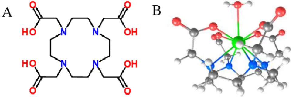Figure 1 : Représentations A. du DOTA (acide 1,4,7,10-tétraazacyclo- 1,4,7,10-tétraazacyclo-dodécantétraacétique) et B