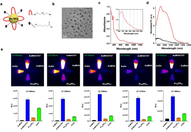 Figure 1.a. Scheme of the Au NCs AuMHA/TDT.  b. HR-TEM images of AuMHA/TDT. c. 