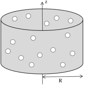 Fig 1 – bubbly flow in a vertical pipe 