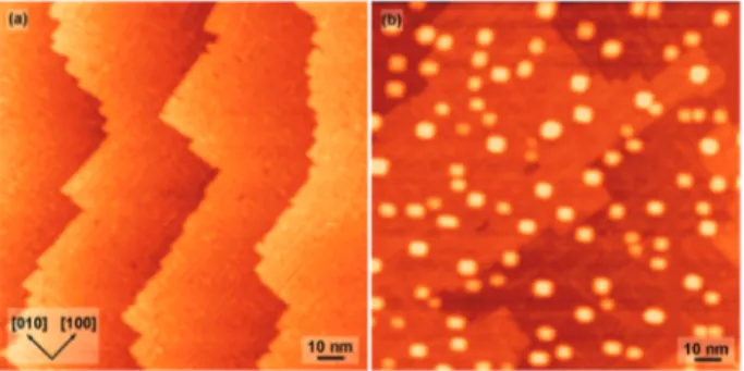 Fig. 1 STM images of the substrate before and after Ni nanocrystal growth.