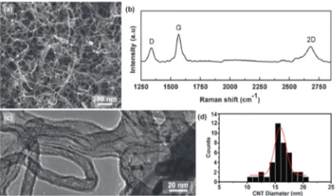Fig. 4 Growth of CNTs on SrTiO 3 (001) substrates using supported Ni nanocrystals as catalysts