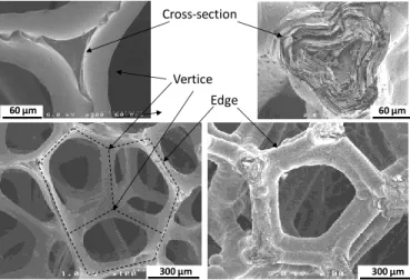 Figure 1: 60 ppi foam: non-infiltrated on the left side and infiltrated with HAL pyrocarbon on the  right