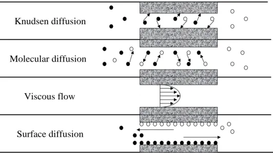 Figure 1: Transport processes in porous media