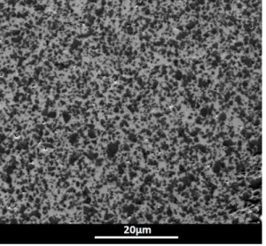 Figure 9. Backscattered electrons images of: (a) the starting sample SiC 50vol.% +Si 50vol.% , and  after heating: (b) 1450°C for 8h, (c) 1600°C for 0.5h; and (d) 1600°C for 5h