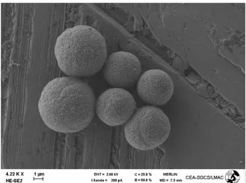 Figure 4: SEM image of dried spherical particles 