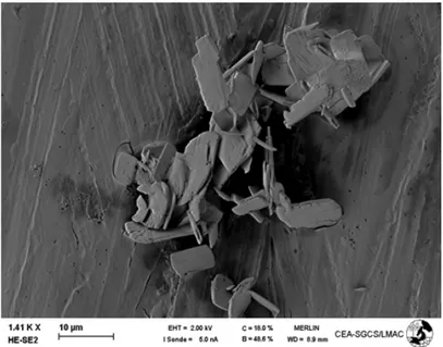 Figure 11: SEM image of dried platelets of uranium oxalate 
