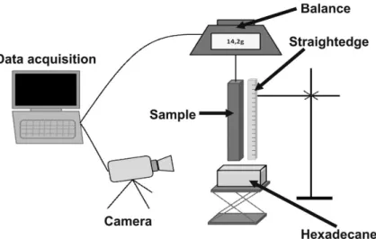 Figure 6: Experimental system of the capillary rise test with solvent 