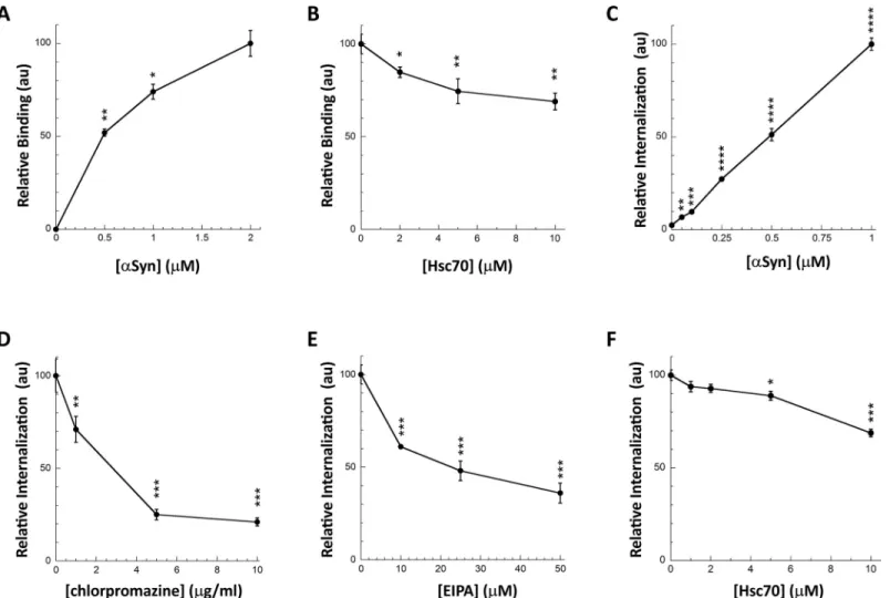 Fig 2. Hsc70 binding to αSyn fibrils interferes with their interaction with the plasma membrane and their subsequent internalization