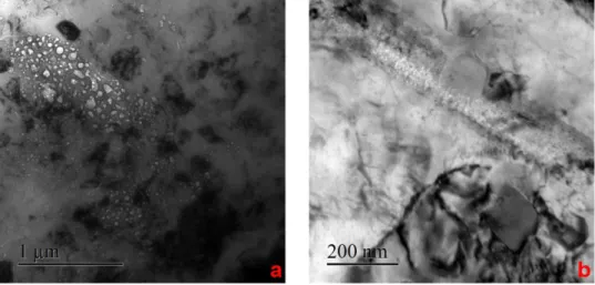 Figure 4 pictures many different effects of the irradiation on water temper. On Figure 4.a (60  DPA), a dispersoïd is seen being dissolved and amorphized while voids begin to grow on its  edges