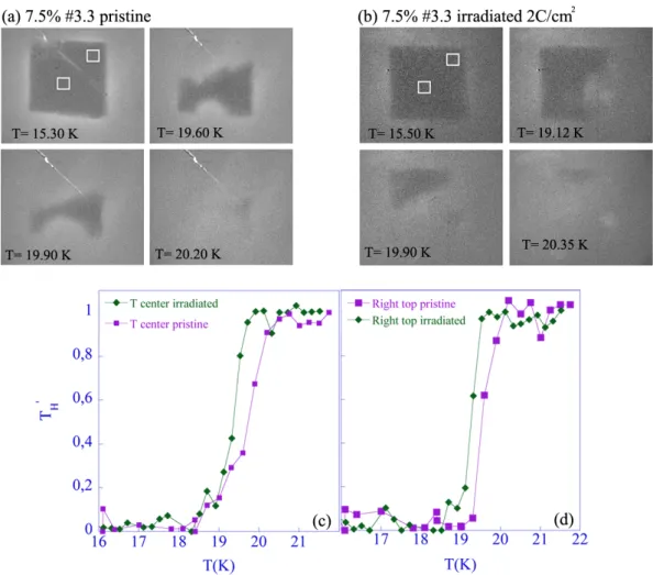 Figure 2. Transition from the superconducting to the normal state of a Ba(Fe 0.925 Co 0.075 ) 2 As 2 single crystal before (a,c) and after irradiation with 2.1 Ccm −2 2.5 MeV electrons (b,d), as imaged by the differential magneto-optical (DMO) technique [4