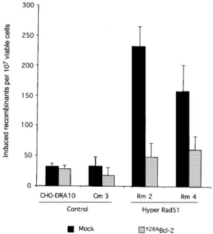 Fig. 7. Bcl-2 inhibits recombination stimulated by RAD51. Cells were irradiated at 6 Gy
