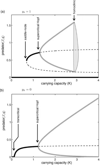 Figure II.5 Diagrammes des bifurcations pour le modèle (II.29) tirés de l’article Verdy (2010).