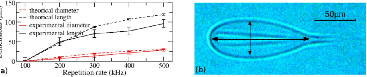 Fig. 1 (a) Theoretically predicted and experimentally observed dimensions of the modified structure induced by a train of 500 laser pulses as a function of the repetition rate (RR)