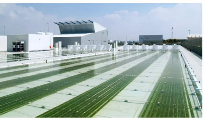 Figure 1.2. Fitoplancton Marino, a Spanish company that produces about two tons of dry microalgae matter each year (http://ec.europa.eu).