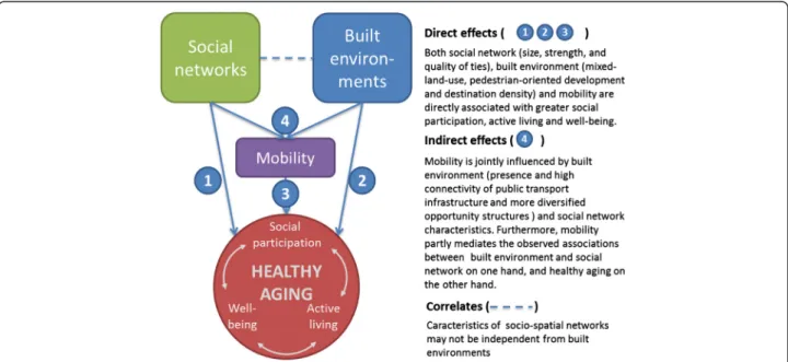 Fig. 1 Main hypothesised pathways linking social networks, built environments, and mobility to healthy aging