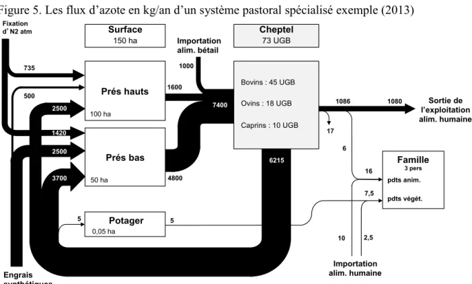 Figure 5. Les flux d’azote en kg/an d’un système pastoral spécialisé exemple (2013) 