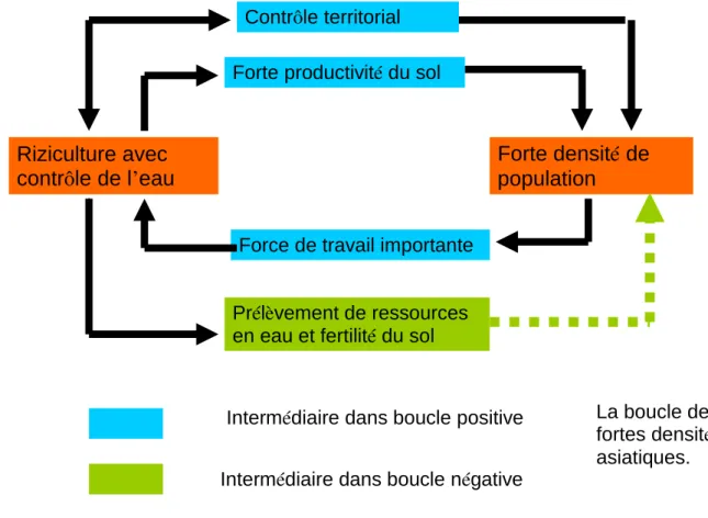 Figure 9 Une hypothèse sur les densités asiatiques . 