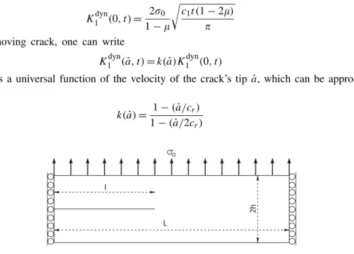 Figure 9. Geometry and loading for the infinite plate example.