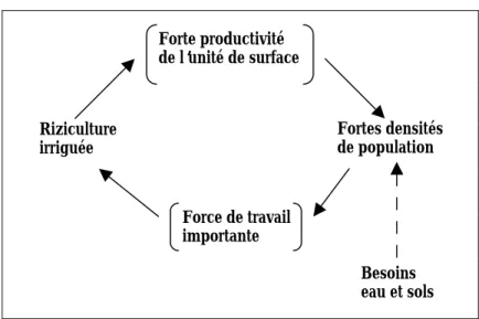 Figure 2 : Système de la riziculture irriguée