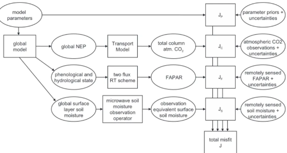 Figure 1. Flow graph of the cost function evaluation in the CarbonFlux study. Ovals denote data, rectan- rectan-gles processing