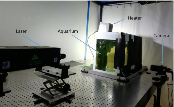 Figure 4: Experimental setup LIF 