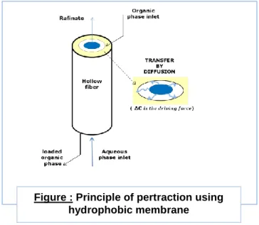 Figure : Principle of pertraction using  hydrophobic membrane 