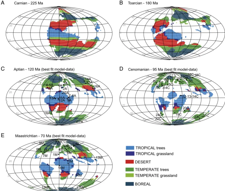 Fig. 2. Biomes simulated with the FOAM-LPJ model during the Mesozoic and angiosperm diversification