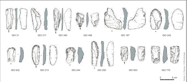 Fig. 7 : Echantillon représentatif du silex taillé collecté dans les niveaux du Néolithique fi nal (US 1010)