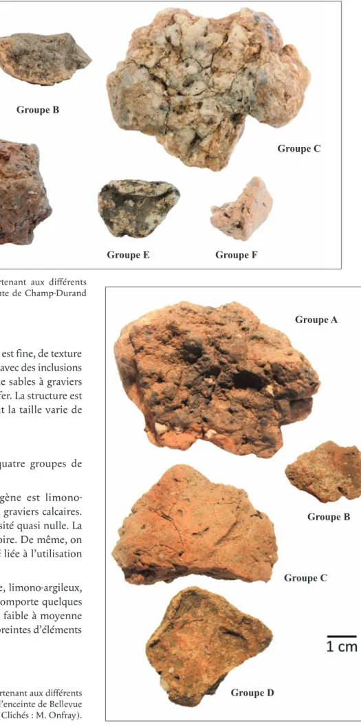 Fig.  4  – Exemple  de  fragments  appartenant  aux  différents groupes de pâtes identifiés sur l’enceinte de Champ-Durand  (Clichés : M
