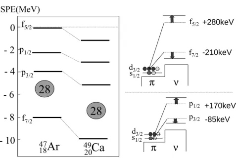 Fig. 2. Left : Neutron single particle energies (SPE) of the f p orbitals for the 47 18 Ar 29 and 49 20 Ca 29