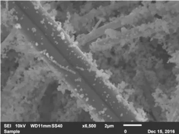 Figure 15. Visualization by Scanning Electron Microscope of aerosol produced during the cutting of  zirconia block, collected on filter fibers 
