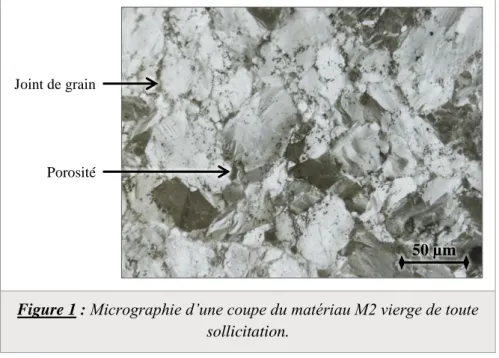 Figure 1 : Micrographie d’une coupe du matériau M2 vierge de toute  sollicitation.  