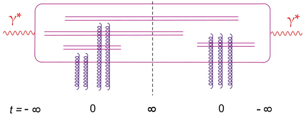 Fig. 6. A particular diagram contributing to the diffractive process γ ∗ h → Xh at large N c 