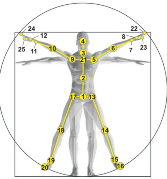 Figure 2.4: An example of 3D pose joint configuration extracted from the figure in [5].