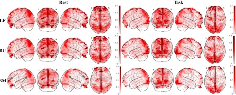 Fig. 1. Group-level estimates of H. From top to bottom H ˆ LF − 1, H ˆ BU − 1 and H ˆ BM − 1 (1 has been substratced to enhance contrast)