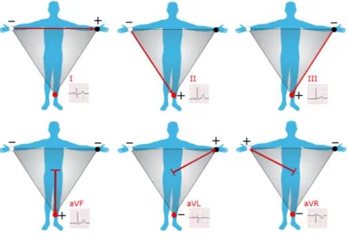 Figure 2.4: The six bipolar leads: three limb leads and three augmented limb leads 4 .