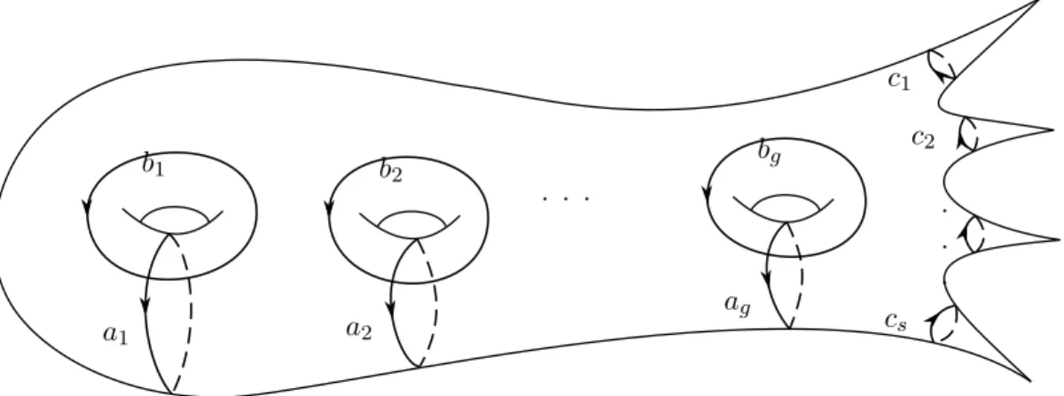 Figure 5.1 – A standard collection of curves on S enumerates the orbits.