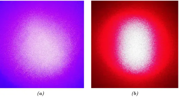 Figure 4.1: Image of the speckle pattern taken under illumination of a white surface with 405 nm (a) and 650 nm (b) laser pointers.
