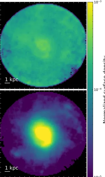 Fig. B.1. Two-dimensional representations (on the plane of the sky) of the dust mass surface density used as input morphologies for the 3D dust distribution
