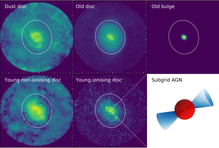 Fig. 1. Two-dimensional representations (on the plane of the sky) used as input morphologies for the 3D geometries for the model of NGC 1068.