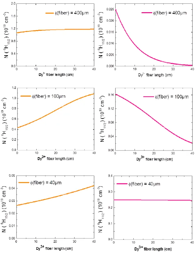 Fig. 8 –Dy 3+  6 H 15/2  and  6 H 11/2  levels populations as a function of the fiber length and for several fiber  diameters (400 mW incident pump power  and a 1000ppm doping concentration)
