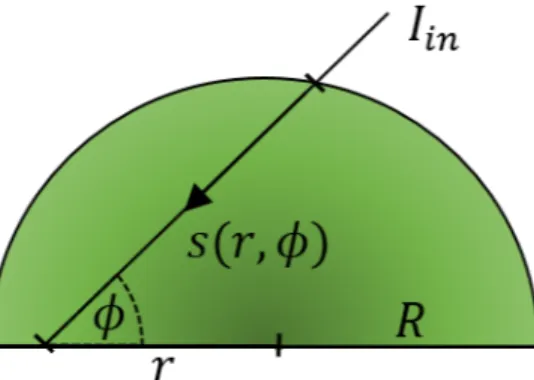 Figure 3.3: Schematic representation of one-half of a cross section through a cylindrical chemostat vessel (s, light path; R, cylinder radius; r, distance from the center; φ, angle of light path with line through the center.)