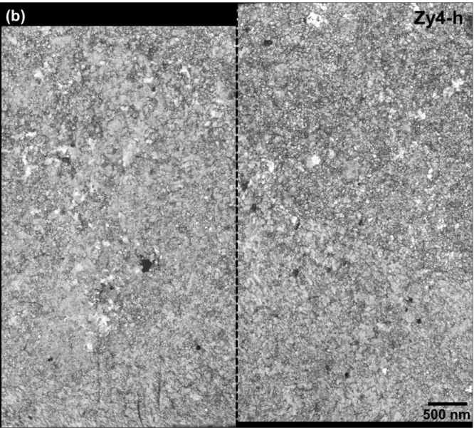 Fig. 5 - Correlation index maps of oxide planes grown on a) Zy4 and b) Zy4-h samples, 1 µm above  the oxide/metal interface, which is delimited on TEM images (Fig 3) with a dashed rectangular
