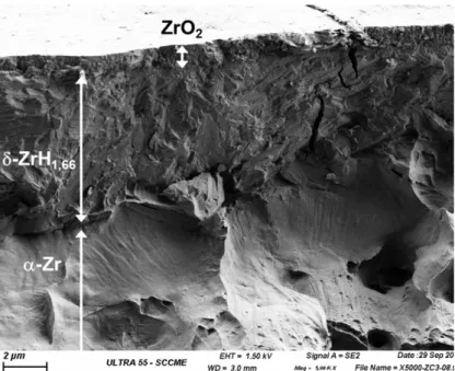 FIG. 1 – SEM fractography of the Zy4-h surface after cathodic charging and corrosion during 14 days  in simulated PWR conditions
