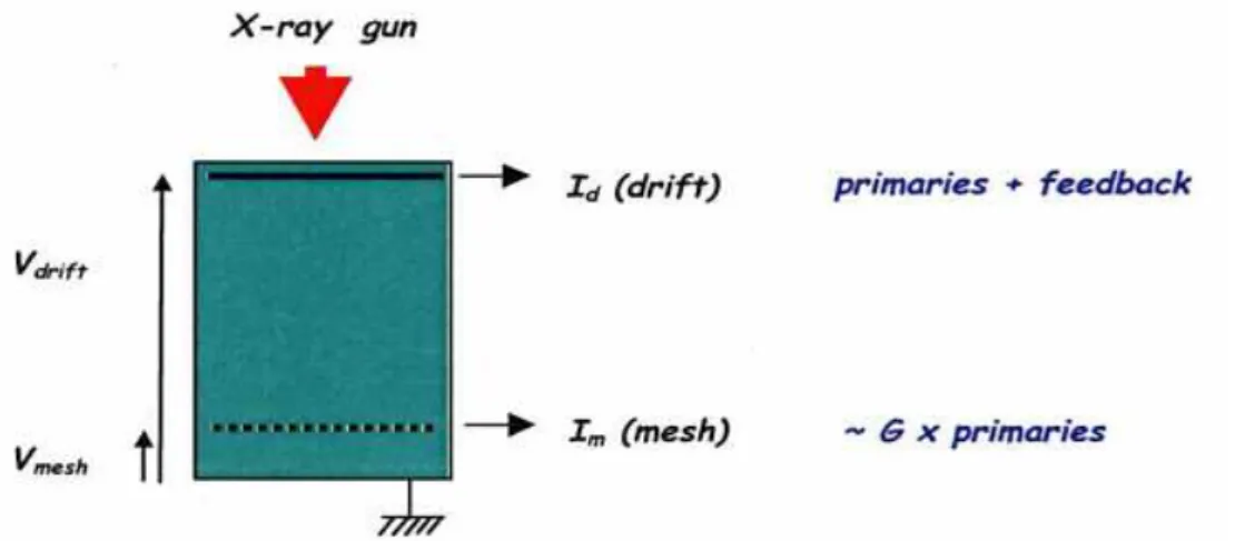 Fig. 5. Experimental device for ion feedback measurements