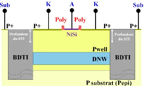 Figure 55: Architecture innovante de la diode Schottky P retenue en BiCMOS 55 nm 