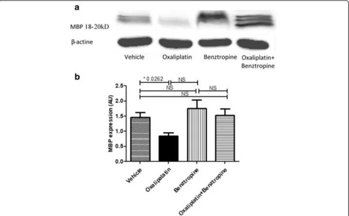 Fig. 8 Effect of benztropine cutaneous nerve fiber density reduction induced by oxaliplatin
