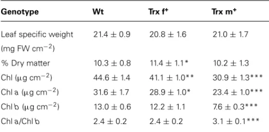 Table 1 | Leaf specific weight, dry matter percentage and chlorophyll content in 40-day old Wt and transplastomic tobacco plants.